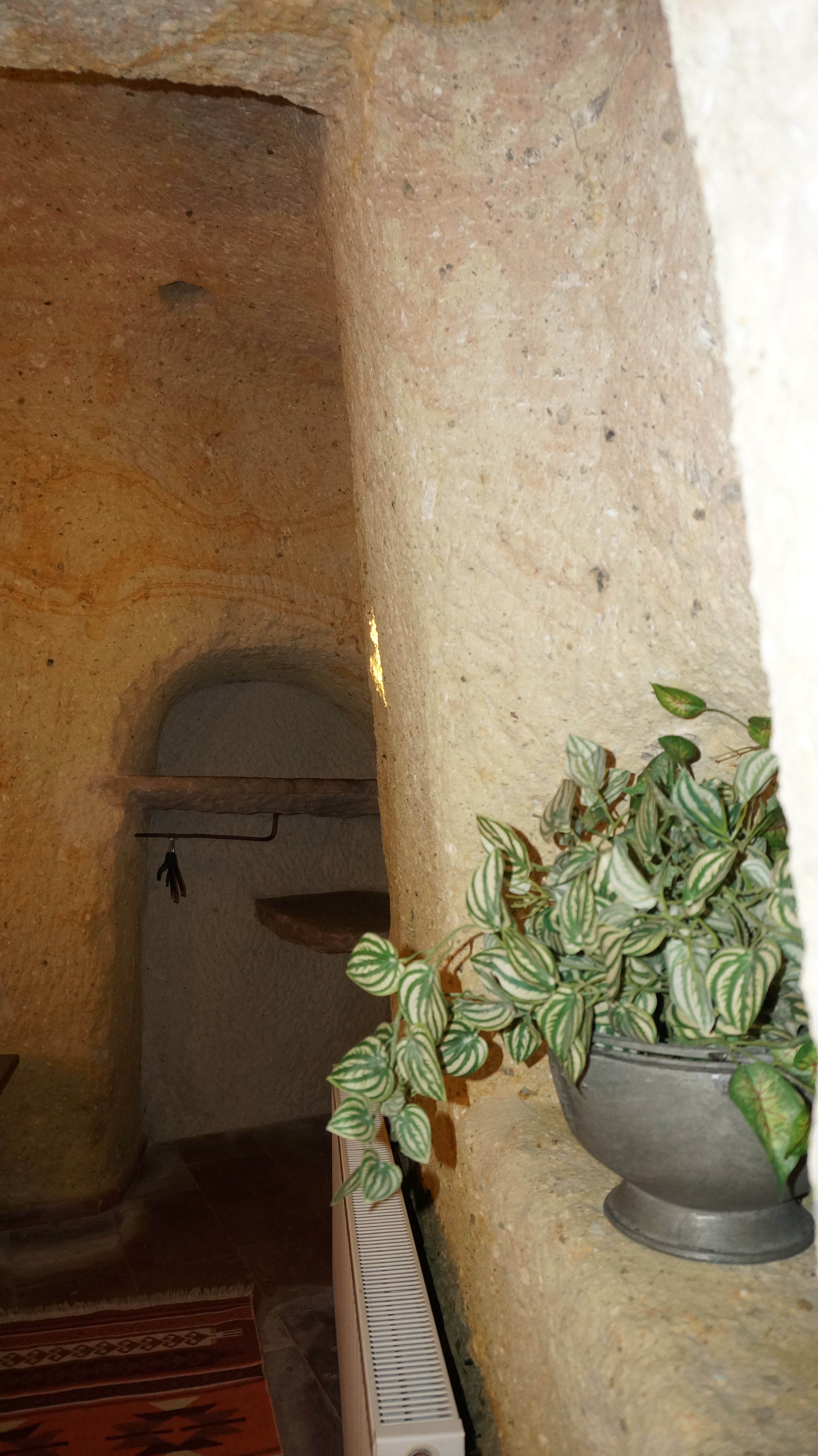 Konak Cave Otel'de bitkiyle bezeli taş niş